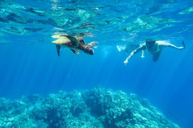 Private Big Island Snorkeling - The Experience and the Guides