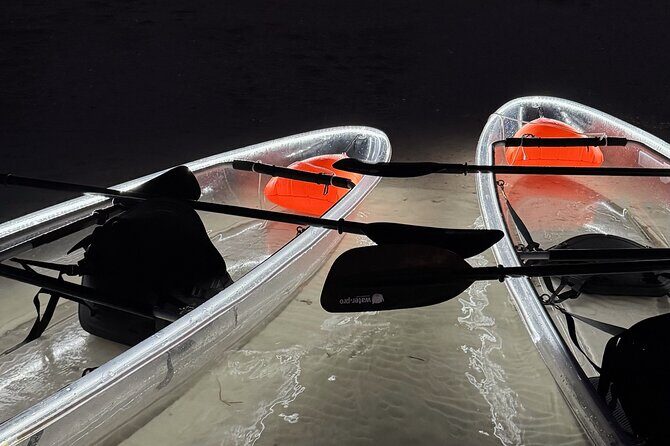 Private Bioluminescence Tour by clear Kayak in Holbox - Why This Tour Is a Great Choice for Travelers