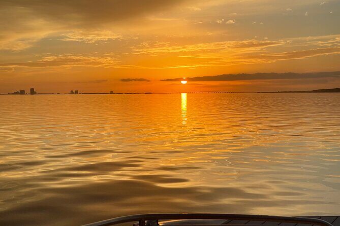 Private Boat and Dolphin Watching in Florida - The Value of the Tour