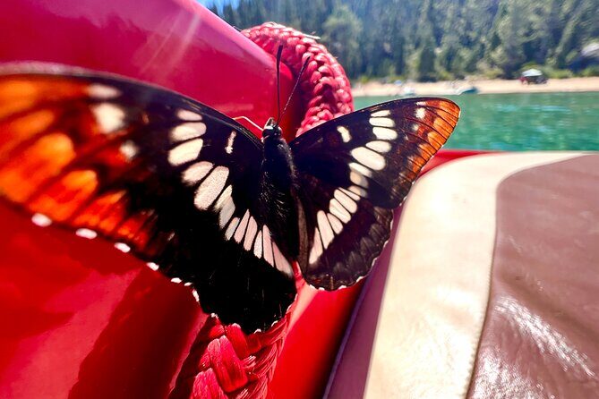 Private Boat Charter Emerald Bay in the Grateful Red - Practical Details and Tips