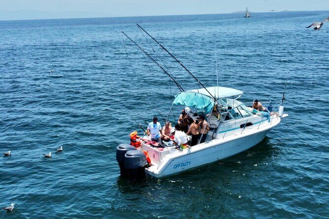Private Boat Fishing in the Bay of Puerto Vallarta - The Best Time for Big Game Fish