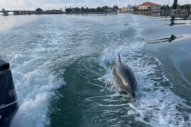 Private boat offering dolphin watching, island excursions and nature tours - Frequently Asked Questions