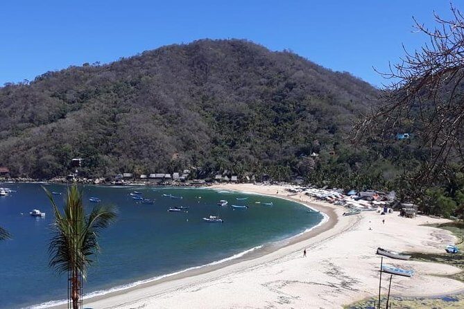 Private Boat Tour to Yelapa - Pricing & Value