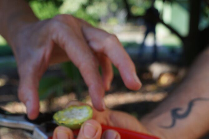 Private Botanical Garden Experience in the Heart of Maui - An In-Depth Look at the Maui Nui Botanical Garden Tour