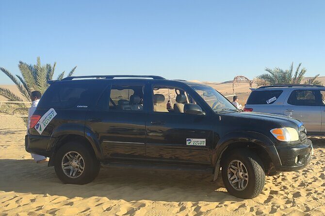 Private Cairo Airport Transfer To Your Hotel in Cairo or Ciza - Who Will Love This Service?