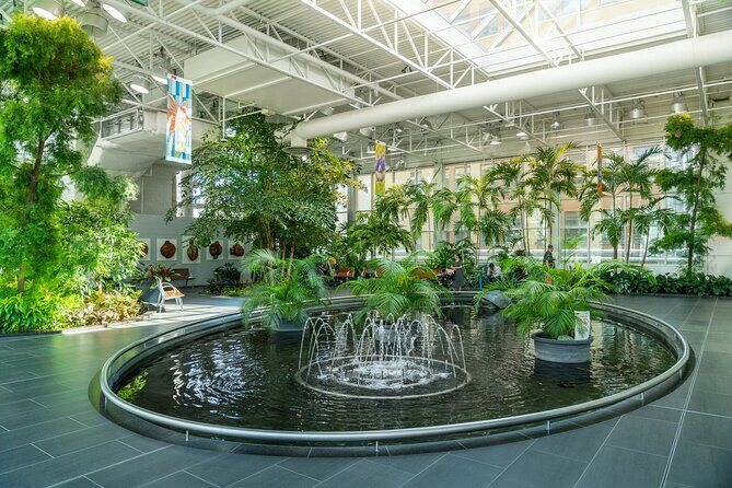 Private Calgary City Highlights 2 Hour Walking Tour - Reviews and Real Experiences