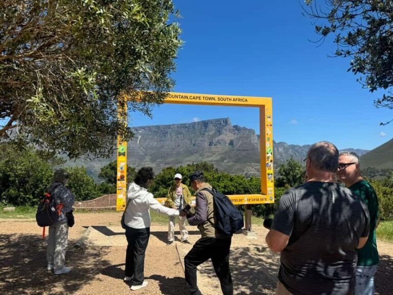Private Cape Peninsula Tour, Penguins, Cape Point & more... - Final Thoughts: Is This Tour Worth It?