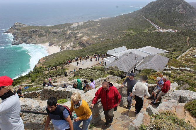 Private Cape Point Penguins Tour-Exploring the Cape Peninsula F/D - Who Will Love This Tour?
