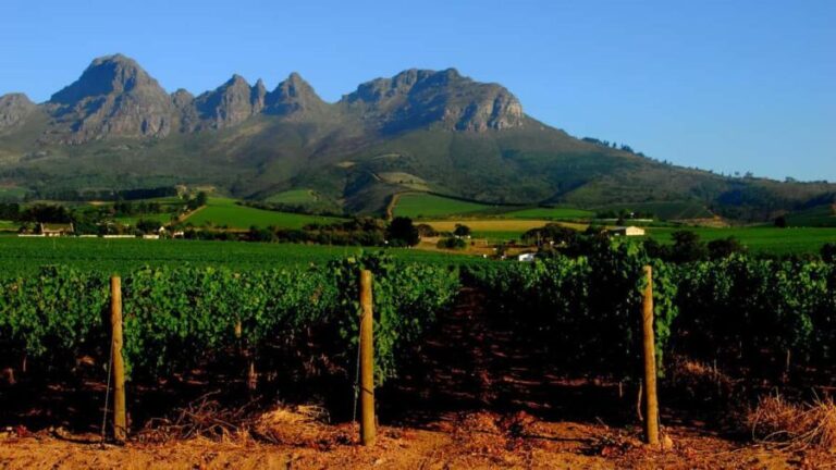 Private Cape Town Wine Tasting: Full-Day Vineyards & Views - A Closer Look at the Itinerary