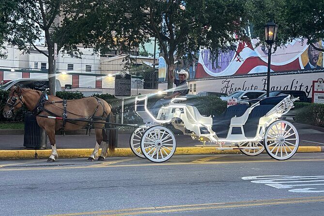 Private Carriage Tour of Galveston - Key Points