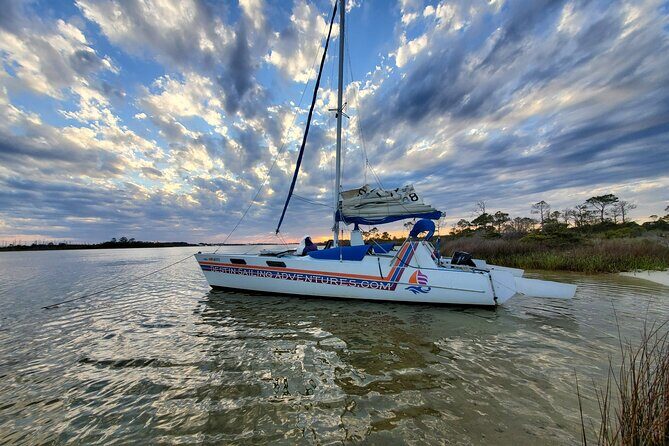 Private Catamaran Sunset Cruise with Dolphin watching - Authentic Feedback: What Travelers Say