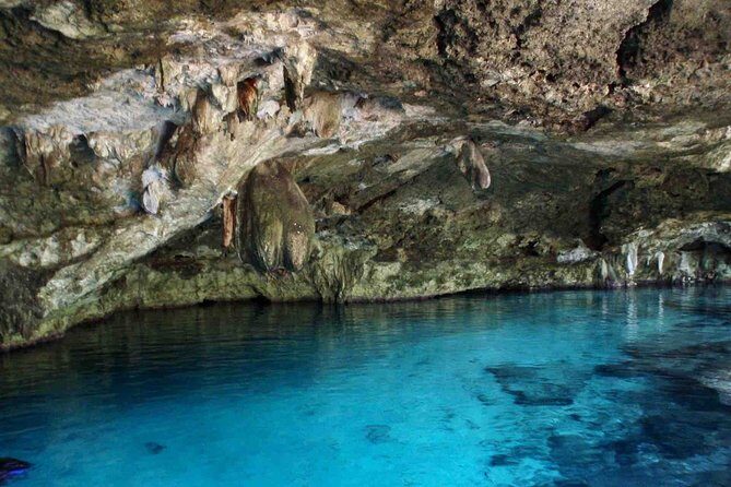 Private Cenote & Cave Playa del Carmen, Mayan Culture & Fossils - Why This Tour Offers Great Value