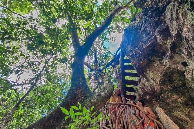Private Cenote Experience, swim in the heart of the Mayan Jungle - Final Thoughts