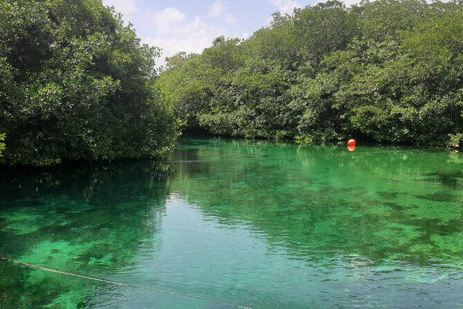 Private Cenotes tour - The Sum Up