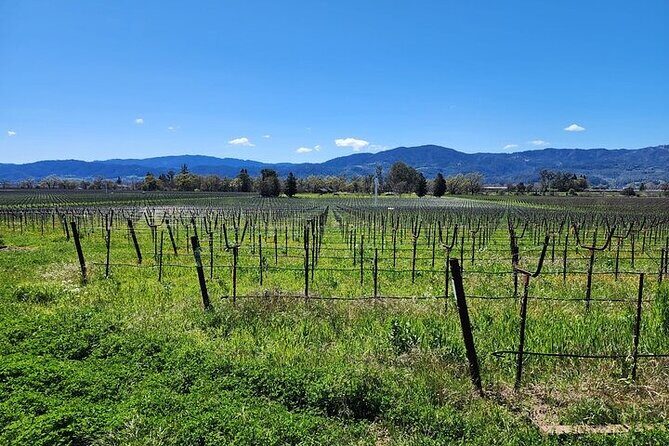Private Champagne and Wine Tour to Sonoma and Napa - What Makes This Tour Stand Out?