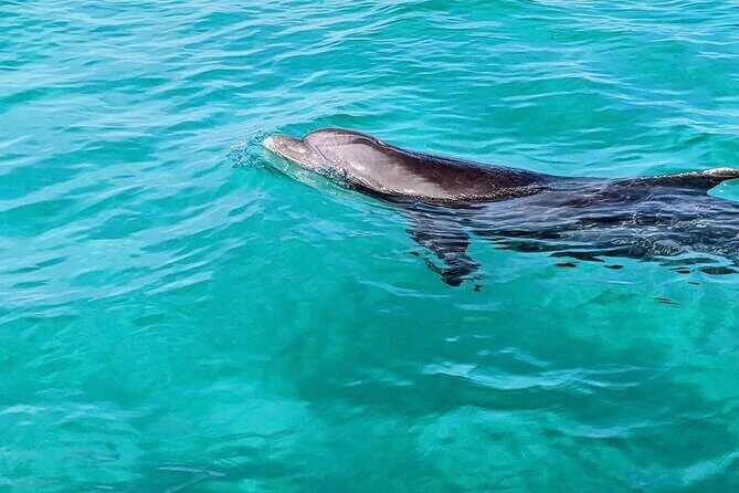 Private Charter Boat with Slide from Panama City - What Travelers Say