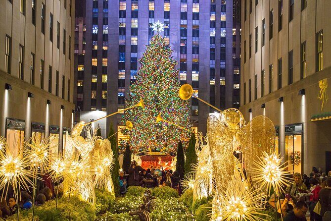Private Christmas Lights Horse Carriage Tour In New York City - What to Expect During the 45-Minute Ride