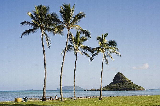 Private Circle Island Tour Across Oahu Paradise - A Deep Dive into the Oahu Circle Island Experience