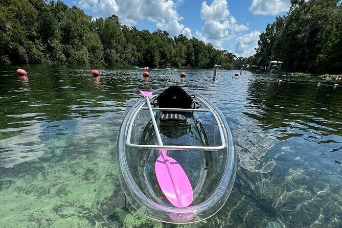 Private Crystal Clear 2 HR Kayak/Paddle Rental on Rainbow River - What to Expect