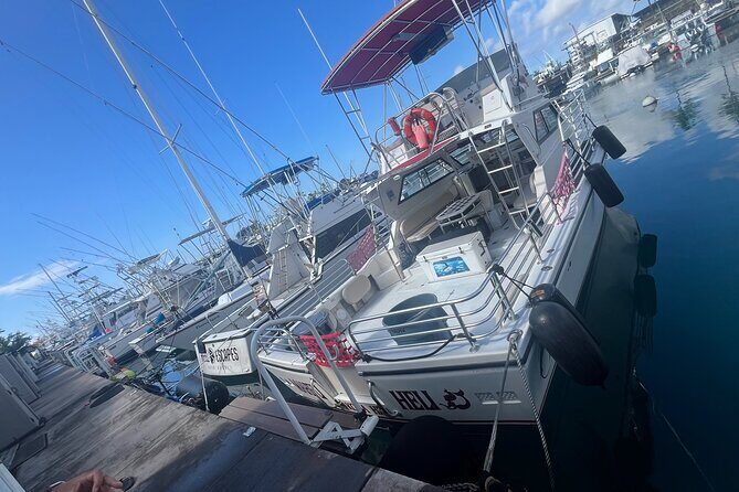 Private & Custom - Family Fish and Snorkel Charter - Analyzing the Cost: Is It Worth It?