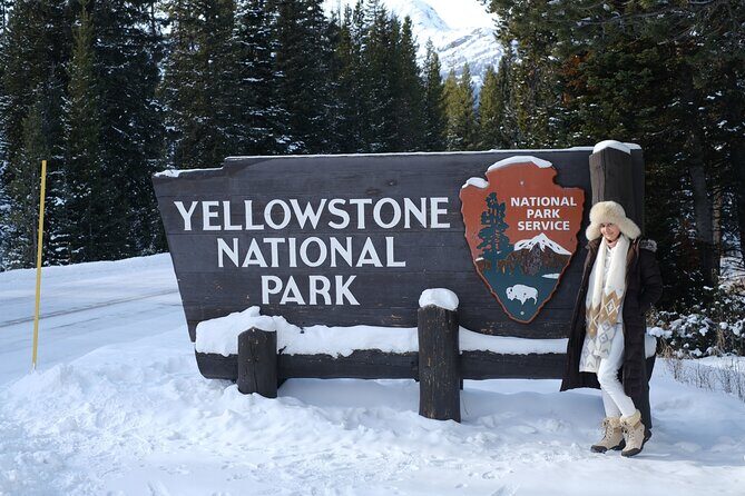 Private, Custom Yellowstone Wildlife Tours & Photo Safaris - Authentic Reviews Show the Value