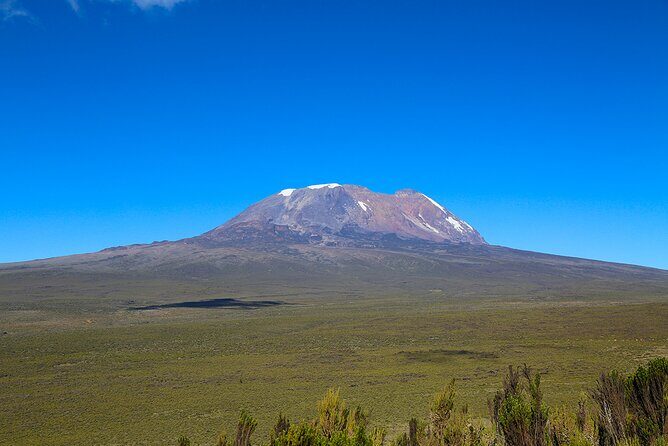 Private Day Tour and Hike in Kilimanjaro National Park - What Does the Tour Really Mean for You?