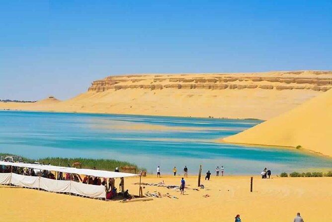 Private day tour El Fayoum ,and Valley of Whales with safari - What’s Included and What’s Not?