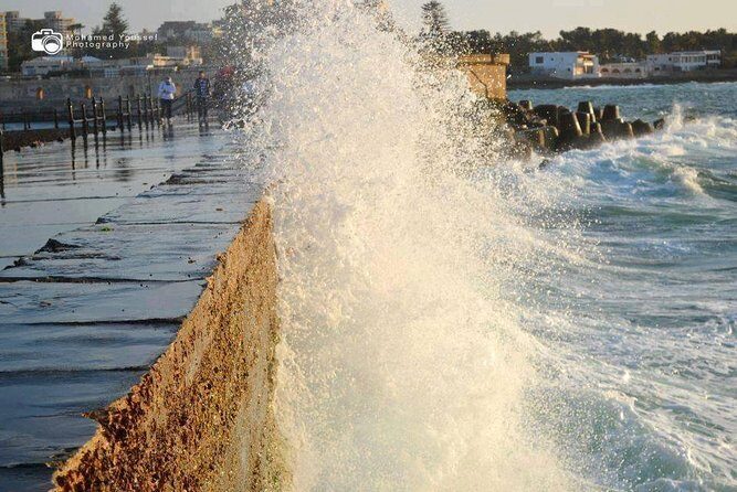Private Day Tour to Alexandria From Alexandria - What the Reviews Reveal
