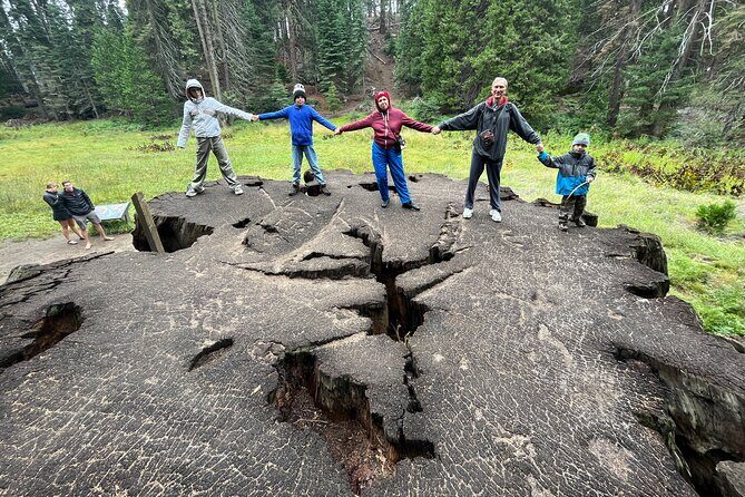 Private Day Tour to Sequoia and Kings Canyon Parks From LA - What the Reviews Say