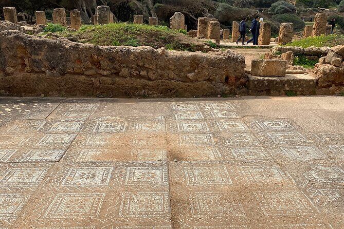 Private Day Tour to the Roman Ruins of Tipaza - Practical Details and What You Get