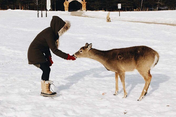 Private day tour to wildlife Parc Omega and Montebello lodge from Montreal - What Makes This Tour Stand Out?