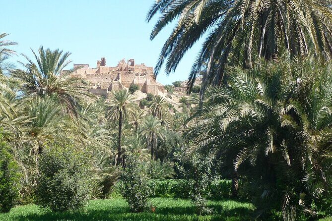 Private Day Trip of Taroudant & Tiout from Agadir - Introduction: What to Expect from This Moroccan Day Trip
