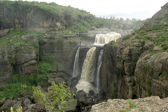 Private Day Trip to Debre Libanos Portuguese Bridge Galada Baboon - Who Should Consider This Tour