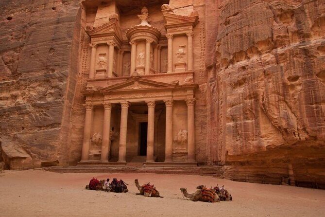 Private Day Trip to Petra From Amman - Authentic Experiences and Feedback from Travelers