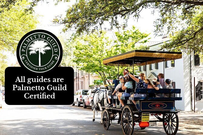 Private Daytime Horse-Drawn Carriage Tour of Charleston - Price and Value Analysis