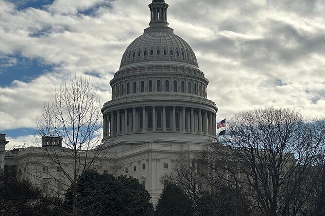 Private DC Tours in Luxury SUV - Practical Considerations