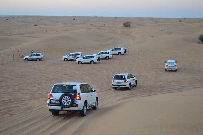 Private Desert Safari From Dubai: Including Buffet Dinner and Live Entertainment - Exploring Dubai’s Desert in Style: Our In-Depth Review