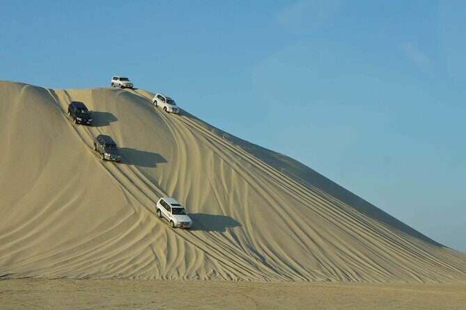 Private Desert Safari, Sand Dunes Bashing and Inland Sea Visit - Authentic Reviews: What Travelers Say