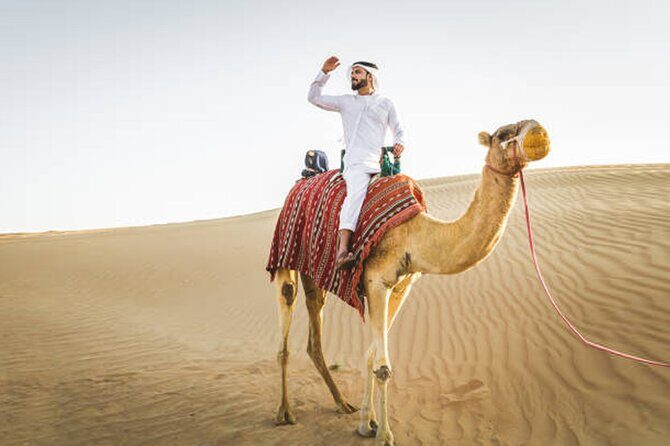 Private Desert Safari Tour in Dubai - Transportation and Timing