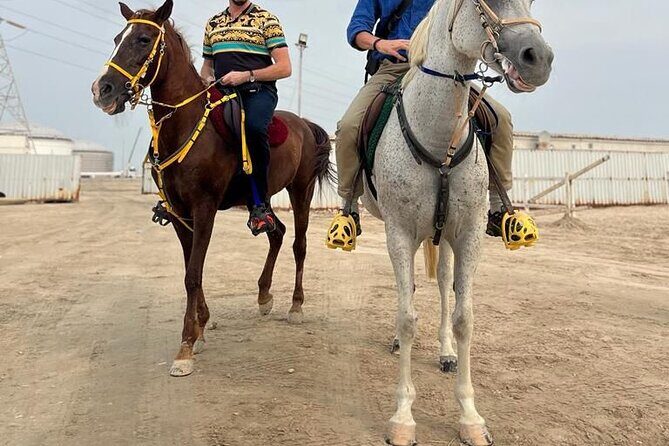 Private-Doha Horse Ride/Camel Ride/Quad Bike All Inclusive Tour - A Closer Look at the Itinerary