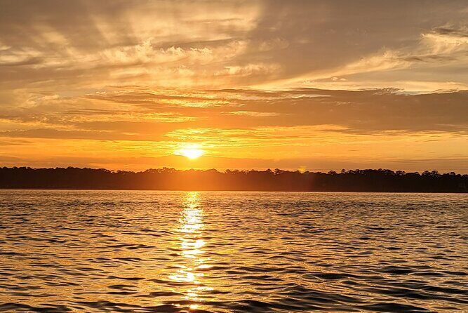 Private Dolphin Boat Tour in Hilton Head Island - A Closer Look at the Hilton Head Dolphin Boat Tour