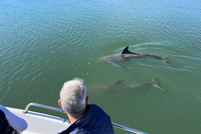 Private Dolphin, Lighthouse and Shelling Adventure (Folly Beach) - Who Should Consider This Tour?