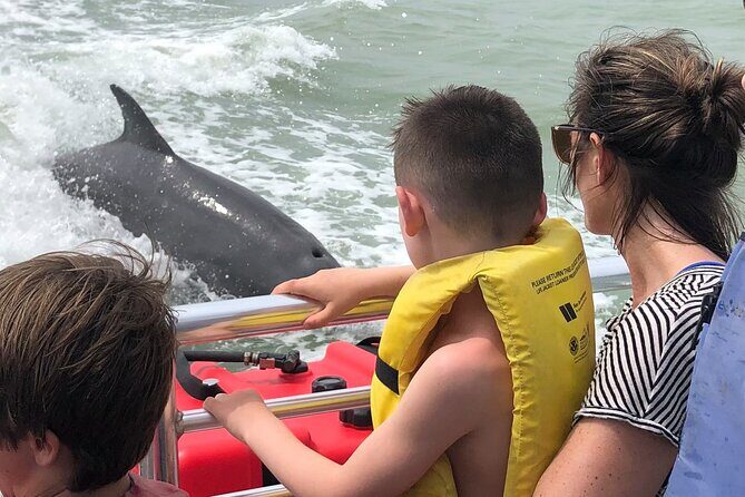 Private Dolphin, Shelling and Birding Tour - Shelling in Florida’s Best Spots