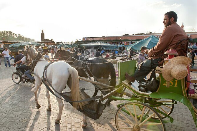 Private Driver for a full day in Marrakech - Detailed Itinerary Breakdown