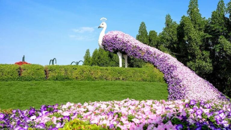 Private Dubai Frame & Miracle Garden Trip with Transfer - The Miracle Garden: Nature’s Art in the Desert