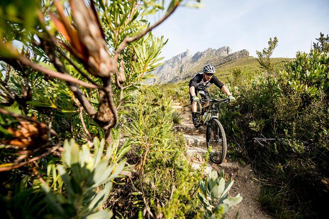 Private E-Bike Cape Town MTB Trails with a Pro - Why This Tour Offers Great Value
