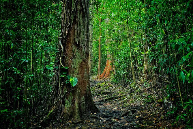 Private East Maui Hiking Experience - The Value Proposition