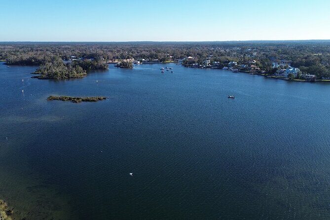 Private Eco Tour in Kings Bay Crystal River Florida - The Sum Up
