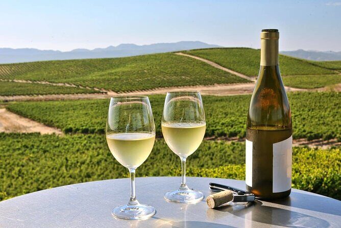 Private Enchanted Napa and Sonoma Wine Tour in SUV from SFO - The Practicalities and Value