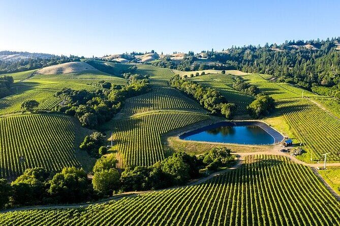 Private Enchanted Napa & Sonoma Wine tour from San Jose - What the Price Includes and What It Doesn’t
